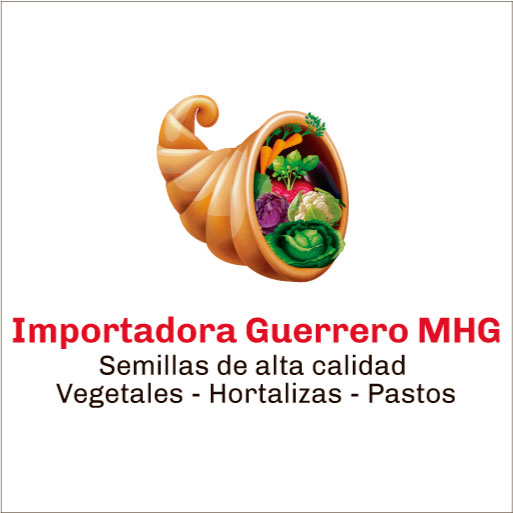 IMPORTADORA GUERRERO MHG-logo
