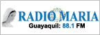Logo de Fundación Radio María
