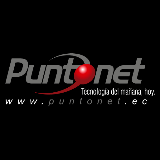 Puntonet S.A.-logo