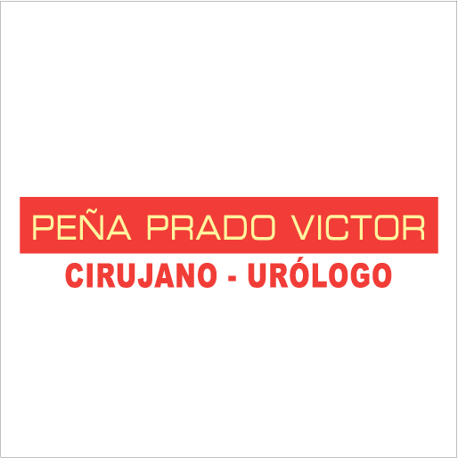 Peña Prado Víctor Miguel-logo