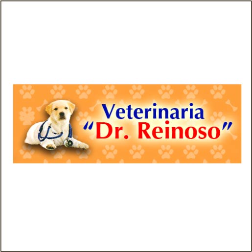 Veterinaria Dr. Reinoso-logo