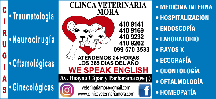 Veterinarios