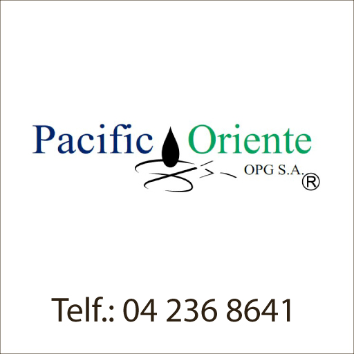 Registro en Internet