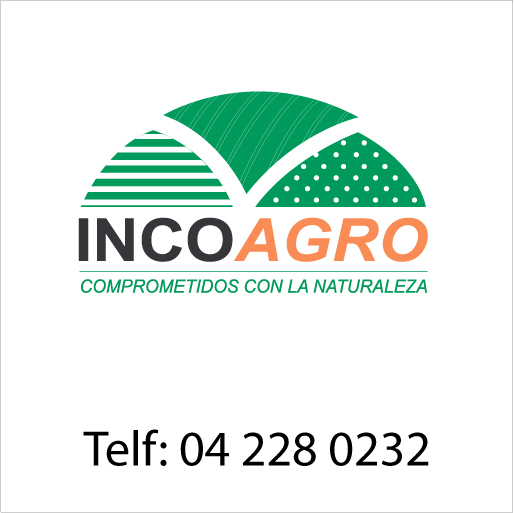 Registro en Internet