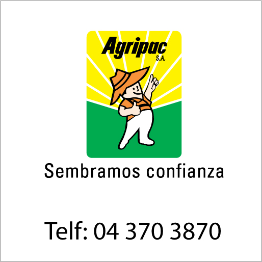 Alfabético Comercial