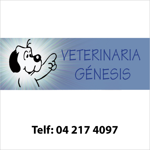 Registro en Internet