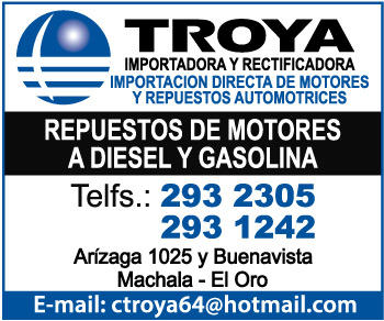 Rectificadores y Reconstructores de Motores