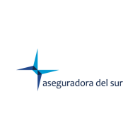 Aseguradora Del Sur C.A.