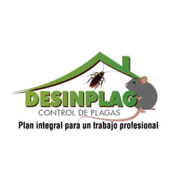 Desinplag