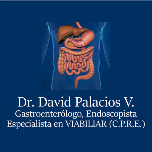 Palacios David Dr.